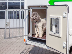 Hund in Heckgarage Waumobil
