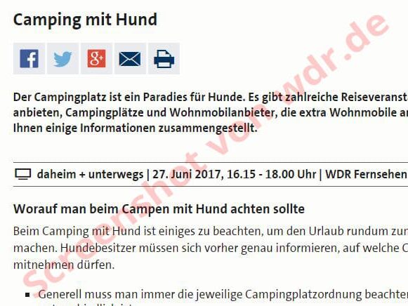 Camping mit Hund im WDR
