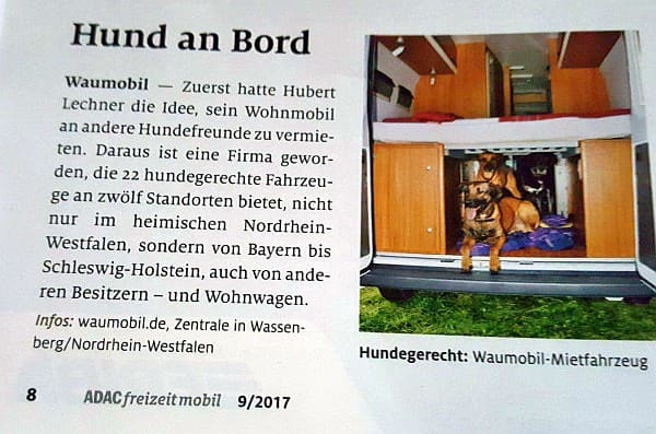 Hund an Bord